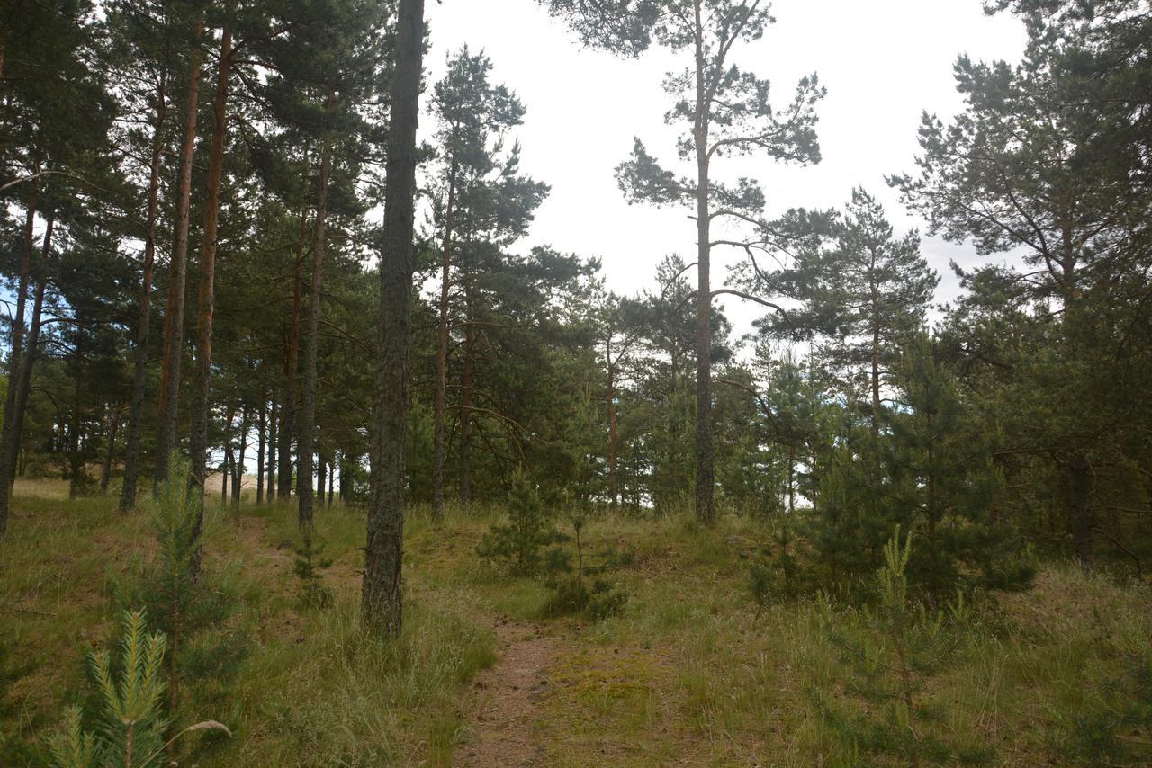 Guesthouse "Nakvyne Pas Zveja" Purvynes Street Nida Zewnętrze zdjęcie